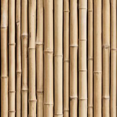 1" Thick Bamboo Poles 12 1/2' Ft pack of 25 peices